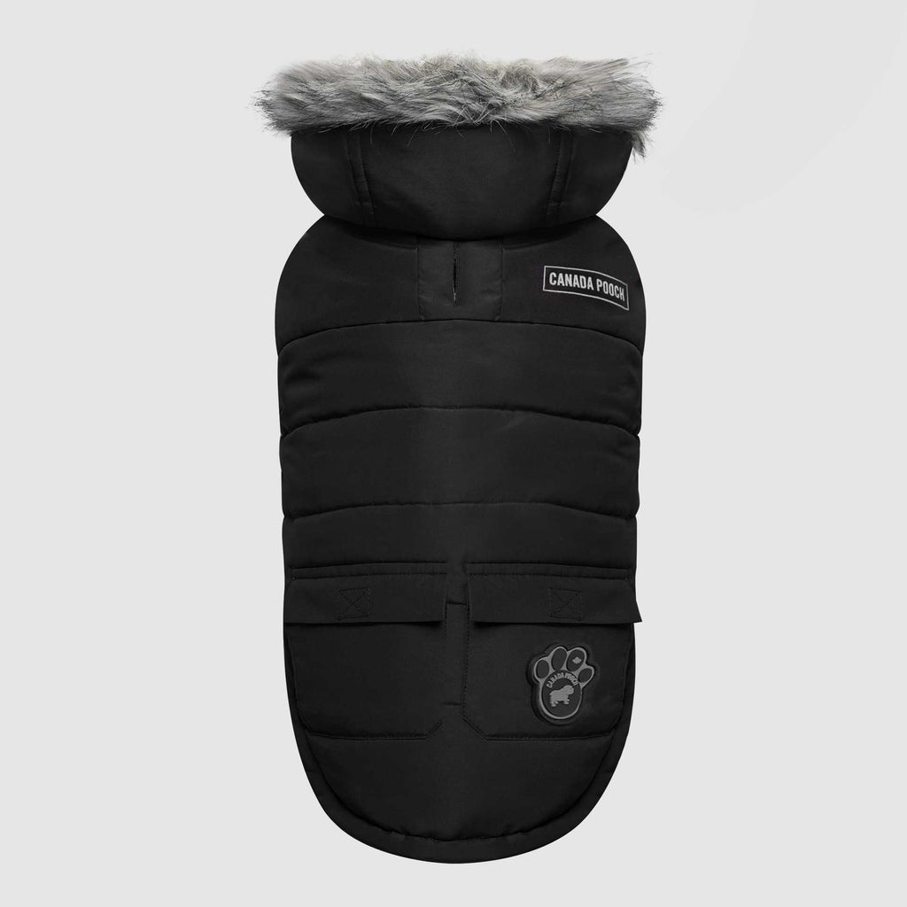 True North Parka TSD6