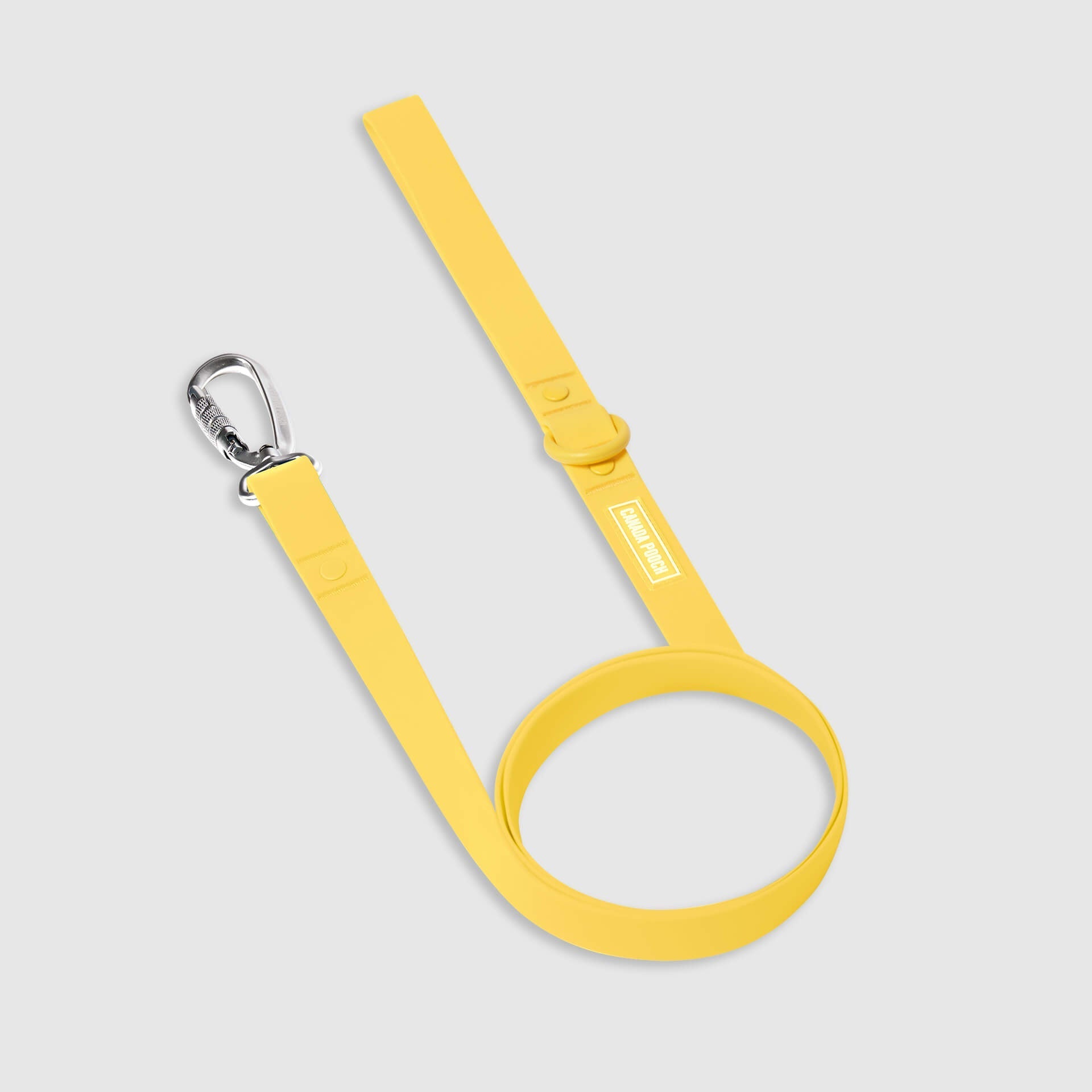 Waterproof Leash 4GFT